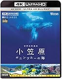 世界自然遺産 小笠原 【4K・HDR】~ボニンブルーの海~ [Ultra HD Blu-ray]