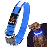 Illumifun 犬 光る首輪 - 充電式 犬 散歩 ライト 視認距離500mで 夜間も安心る ペット用品 防水 調節可能 超明るい 安全ライト ペット 小型犬 (青色, S)