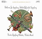 �x�[�g�[���F��:�u�^���v �V���[�x���g:�u�������v