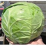 野菜の種キャベツコペンハーゲン市場は、有機的家宝NON-GMO栽培します