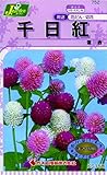 カネコ種苗 草花タネ752 千日紅 混合 10袋セット