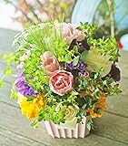 アレンジメントフラワー 生花 ギフト Mサイズ イメージ(MIX)大臣賞受賞デザイナー おまかせアレンジメント