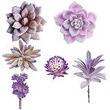 6 Pcs Artificial Succulents Assorted Faux Succulent in Different Purple Fake Hanging Succulents Text
