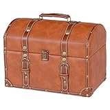 チェスターシリーズ　トランク MUD-6010LBR ライトブラウン