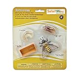 サファリ Science series Life Cycle Of A Honey Bee ( Set) 622716 (並行輸入)