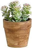 アビテ 造花 観葉植物 グリーンポット・L-マルバマンネングサ IL-118-AA