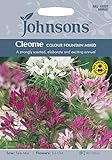JOFL 英国ジョンソンシード Cleome Colour Fountain Mix クレオメ・カラー・ファウンテン・ミックス