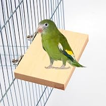 Amazon | MUYYIKA 鳥 止まり木 止まり台 木製 コーナー インコ