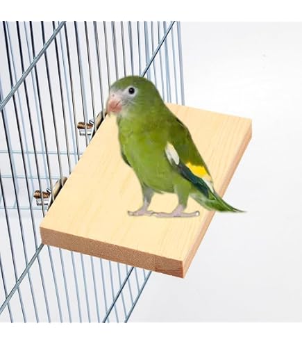 Amazon | ケージ用の鳥の止まり木、鳥の止まり木 - 鳥かごの止まり木