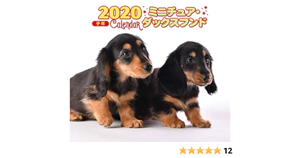 年 ミニ判カレンダー ミニチュア ダックスフンド 井川 俊彦 本 通販 Amazon