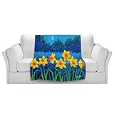 ブランケットウルトラソフトFuzzy 4サイズ！DIANOCHEデザインからbyジョン・ノーランホームDecor Unique Designer芸術的スタイリッシュな寝室アイデアCouchまたはThr