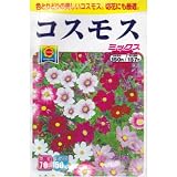 コスモス ミックス (春まき) (785)