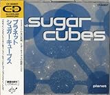 �v���l�b�g