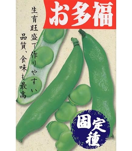 Amazon.co.jp: ソラマメの種 ソラ豆緑陵西一寸 23粒 そら豆の種 野菜の