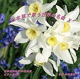 ���{��ŉ̂����E�̖��� X