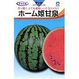 スイカ 種 【 ホーム姫甘泉 (ひめかんせん) 】 種子 小袋（約8粒）