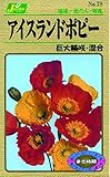 カネコ種苗 草花タネ078 アイスランドポピー 混合 10袋セット