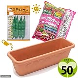 収穫まで50日 「つるなしモロッコ菜豆」栽培セット 種・土・鉢底石・プランターの4点セット 家庭菜園