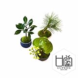 観葉植物 ミニ盆栽 フェイク 造花 ♪【カップボン】ぐいのみ三個セット 青×黒B ♪ 【prm】インテリアグリーン フェイクグリーン アーティフィシャル 開店祝い 新築祝い ギフト 模様替え 店舗内装