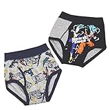 ドラゴンボールスーパー超 ブリーフ 2枚組 肌着 fo-77b152 120