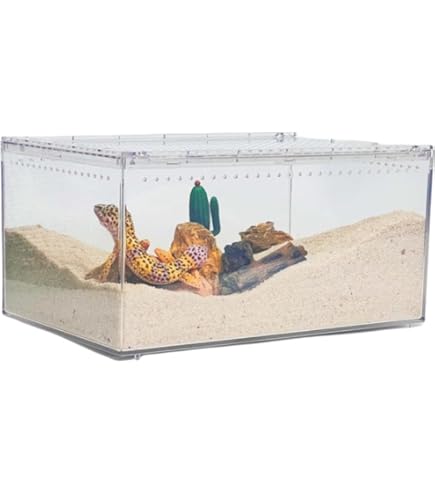 Amazon | 三晃商会 SANKO レプタイルボックス | Sanko | 飼育ケース