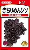 タキイ種苗 シソ 赤ちりめんシソ