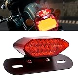 LED オートバイ ブレーキ テールライト ウインカー ランプ統合で ナンバー プレート ブラケット 12V アンバー レッド ライト 防水 汎用(レッド レンズ)