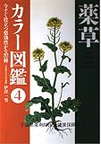 薬草カラー図鑑 4