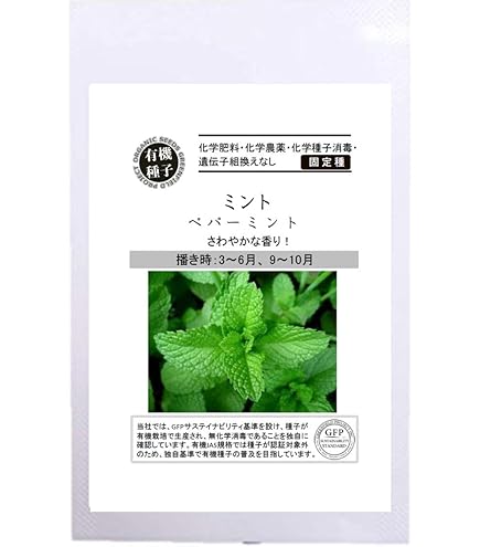 Amazon | 【種子】風船かずら [1037] | 草