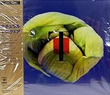 �i�`������