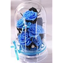 オルゴール プリザーブドフラワー青いバラブルーローズ 未来予想図2　ドリカム Amazon｜クリスマス Merry Christmas 昇進祝い 青い花 誕生日 記念日