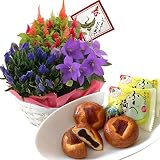 敬老の日ギフト 秋の3種寄せカゴ 蛸屋 ふくべ福ふく セット 花とスイーツ フラワーギフト