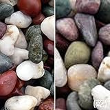 マツモト産業 ヤマト和風本玉石 天然五色石(20kg) 芯(7-10mm)