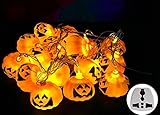ジャック・オー・ランタン, Lamshaw 16LED イルミネーション ストリングライト かぼちゃ ライト 屋内 アウトドア 装飾 (16 LED-Plug)