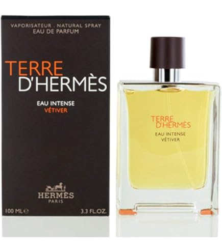 TERRE D'HERMES EAU GIVREE EDP REMPISSABLE 100ML : Amazon.sg: Beauty