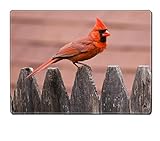 カスタムデザインプレースマット、一意のプリントダイニングゴムテーブルマットDesigner鳥カラフルグリーンブルーブランチWatching Wild Beautiful Birds SmallレッドL