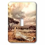 Sven Herkenrath動物 – ジャガーin the African Savanna – 照明スイッチカバー – シングルトグルスイッチ( LSP _ 238324 _ 1 )