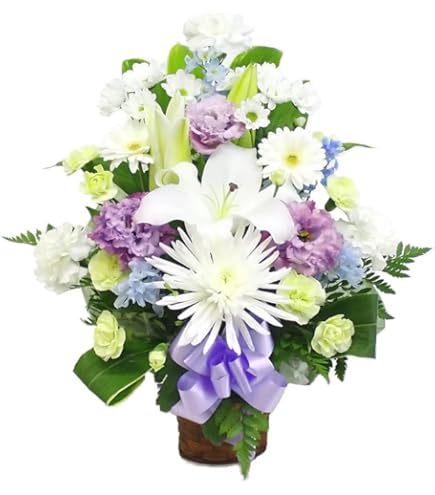 Amazon.co.jp: 月花めもり大葉めもMemo直筆サイン入りチェキ : ホーム