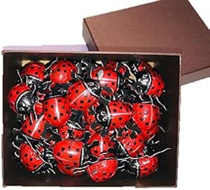 Amazon てんとう虫チョコレート ギフトｂｏｘ ５０個 オーガニックフォレスト 食品 飲料 お酒 通販