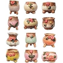 51crjxBebFL._AC_UL210_SR210,