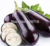 200pcs/pack. Purple Eggplant Seeds Vegetable seeds