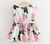 Dizoon 春夏 子供 ベビー キッズ 女の子 ワンピース ドレス デニムスカート ストライプ 可愛い服 イエロー 花柄 蝶?び 80 85 90 100cm 6-36ヶ月