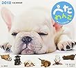カレンダー2018 ぺたわんこ ゆるっと脱力系 (ヤマケイカレンダー2018)