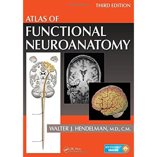 Amazon | Atlas of Human Brain Connections | Catani, Marco, De