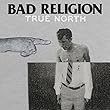 True North [12 inch Analog]