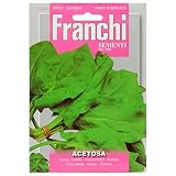 野菜の種 ソレル 1/1