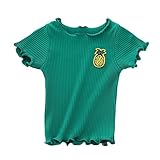 Aliciga Tシャツ 半袖 女の子 無地 カールの裾 刺繍 ストライプ 春 夏 ベビー服 スポーツ カジュアル お嬢系 可愛い カットソー オシャレ 通園 通学 ファッション 80-120CM 1