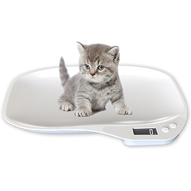 Amazon.co.jp 最新リリース: 小動物用品 の新着ランキングです。