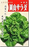 サラダ菜 種子 岡山サラダ 20ml
