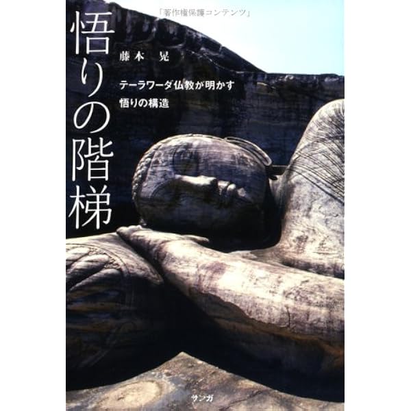 悟りの4つのステージ | 藤本晃 |本 | 通販 | Amazon